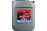 Hesi Boost 10l