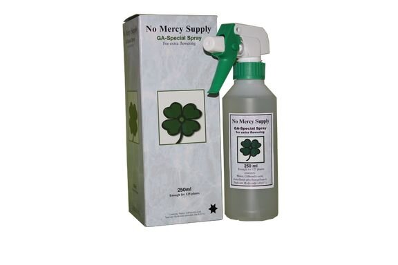 No Mercy GA Spray 250ml